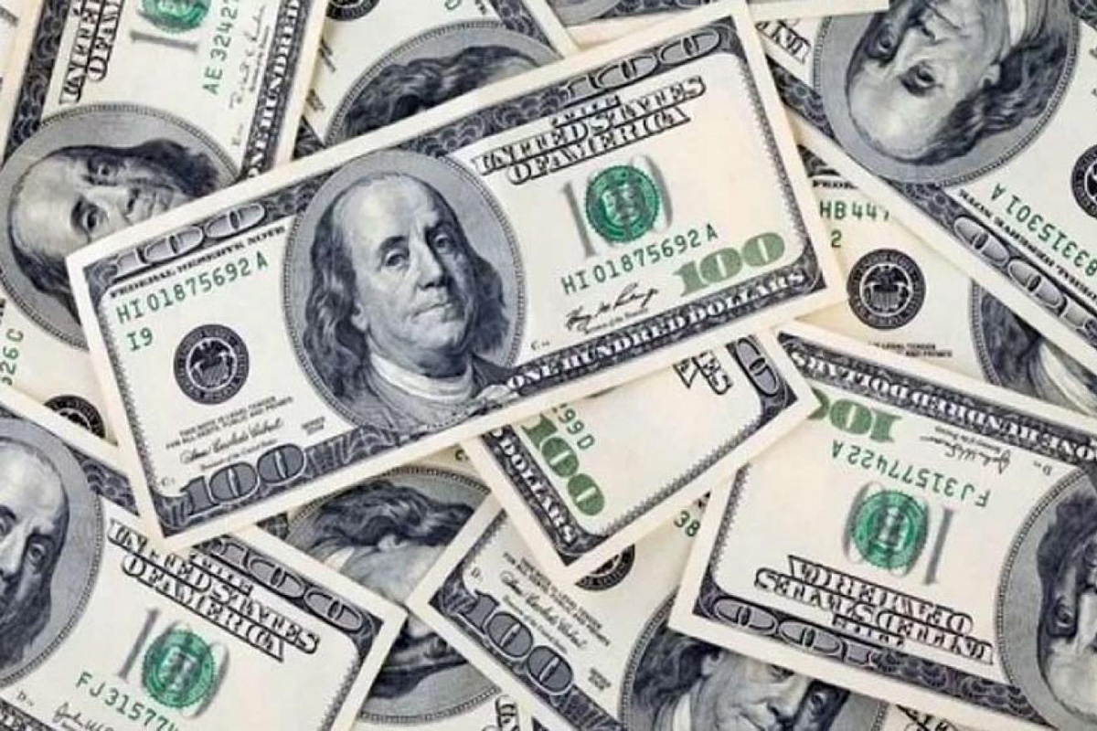 Exportación: Procedimiento pago de derechos y plazos de espera